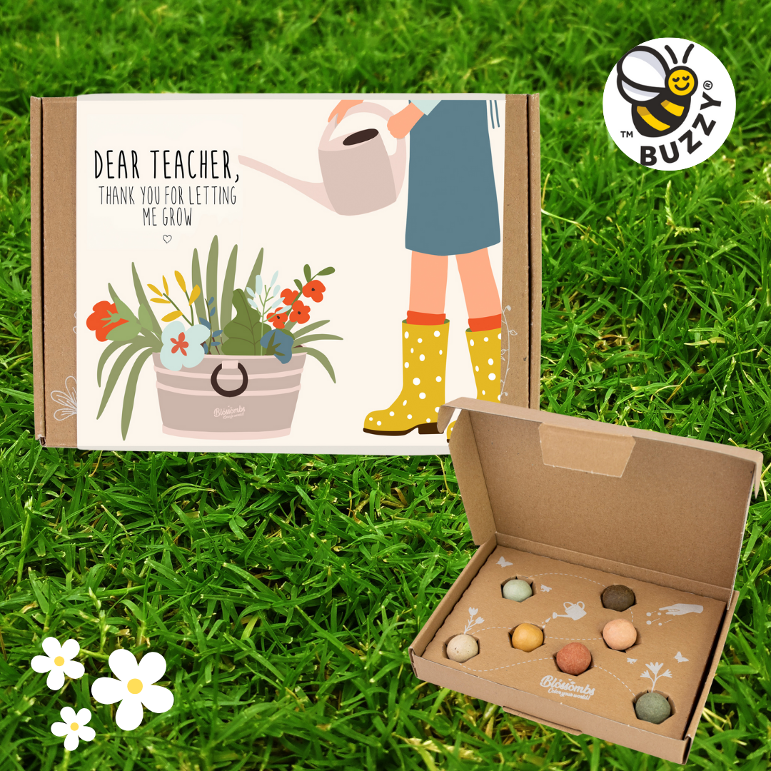 Blossombs  Dear Teacher-  7 Seed Bomb Balls