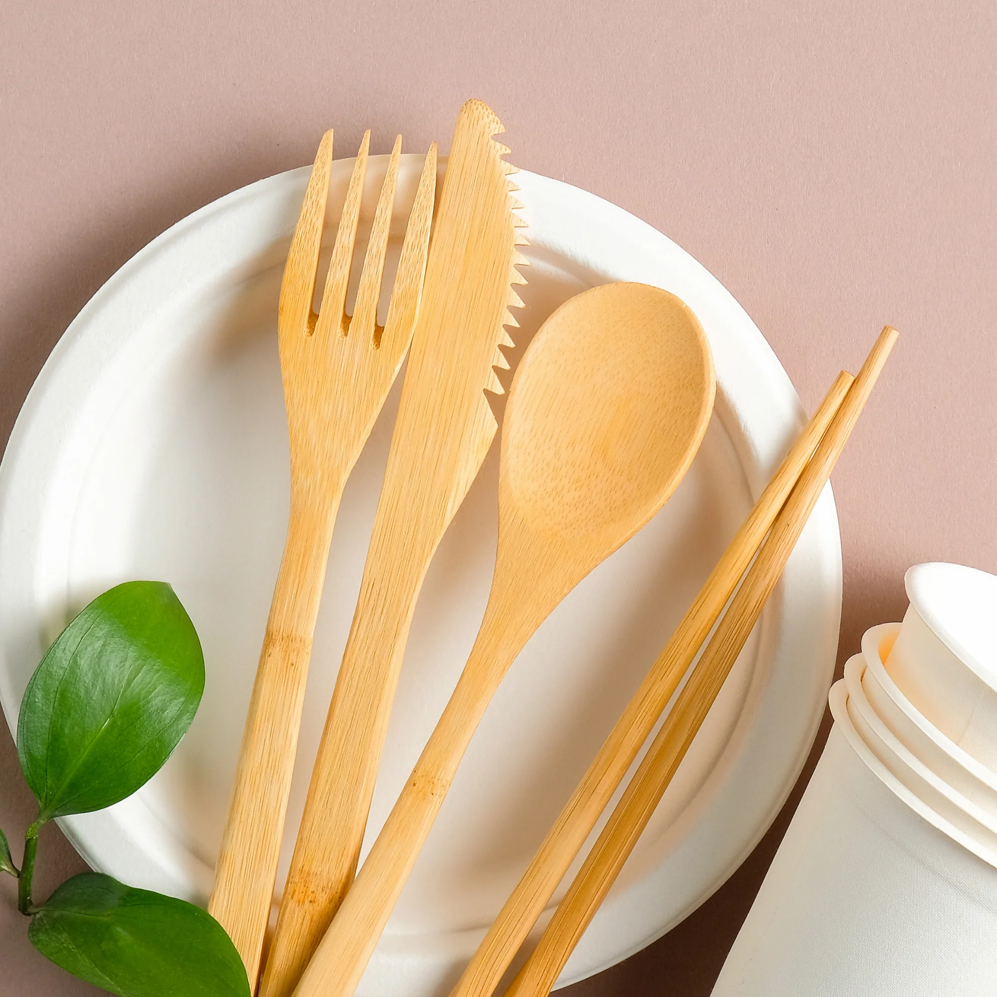 Eco-Friendly Bamboo Cutlery Set