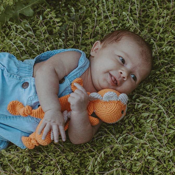 Dinosaur Lovey – Handmade Organic Cotton Flat Baby Toy