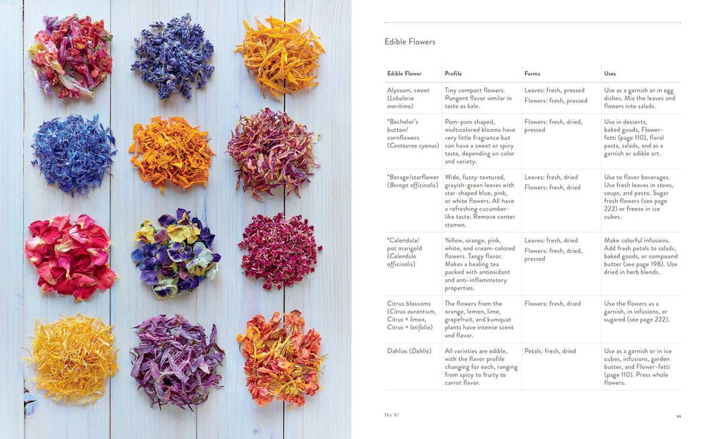 Preserving the Seasons by Holly Capelle