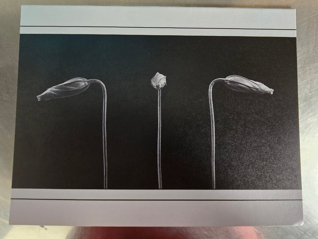 "Mug Shot" notecards (set of 5)