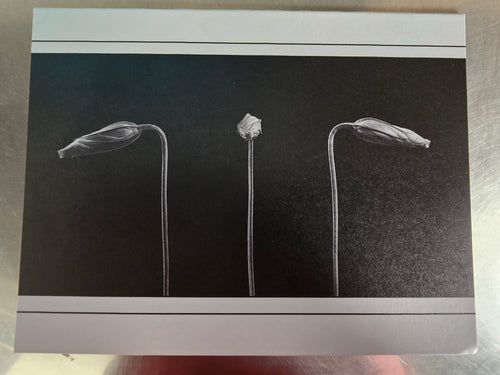 "Mug Shot" notecards (set of 5)