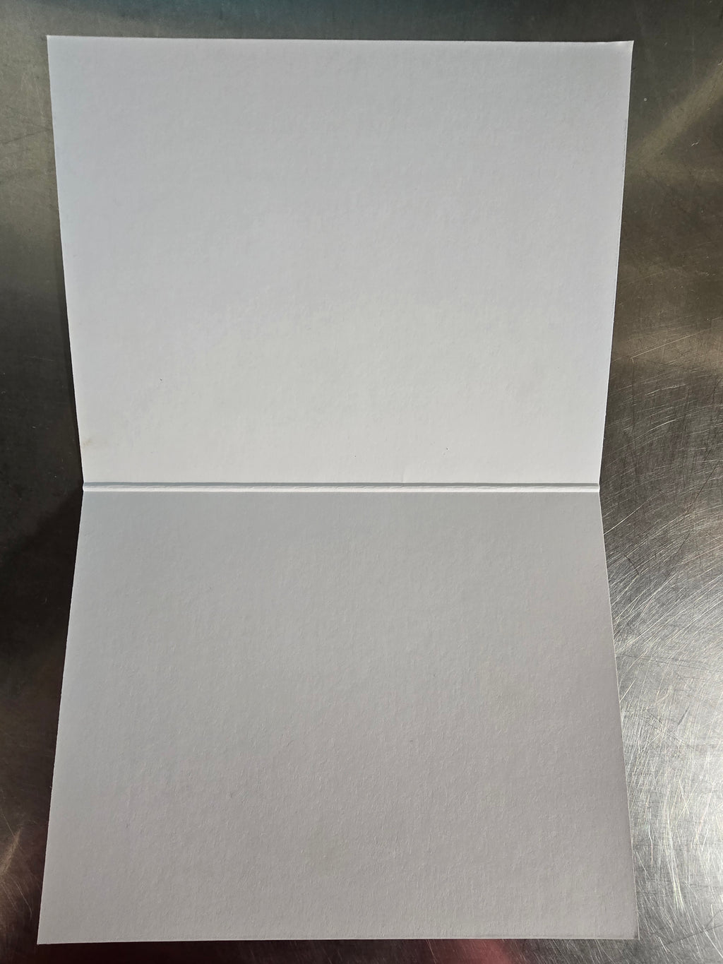 "Mug Shot" notecards (set of 5)