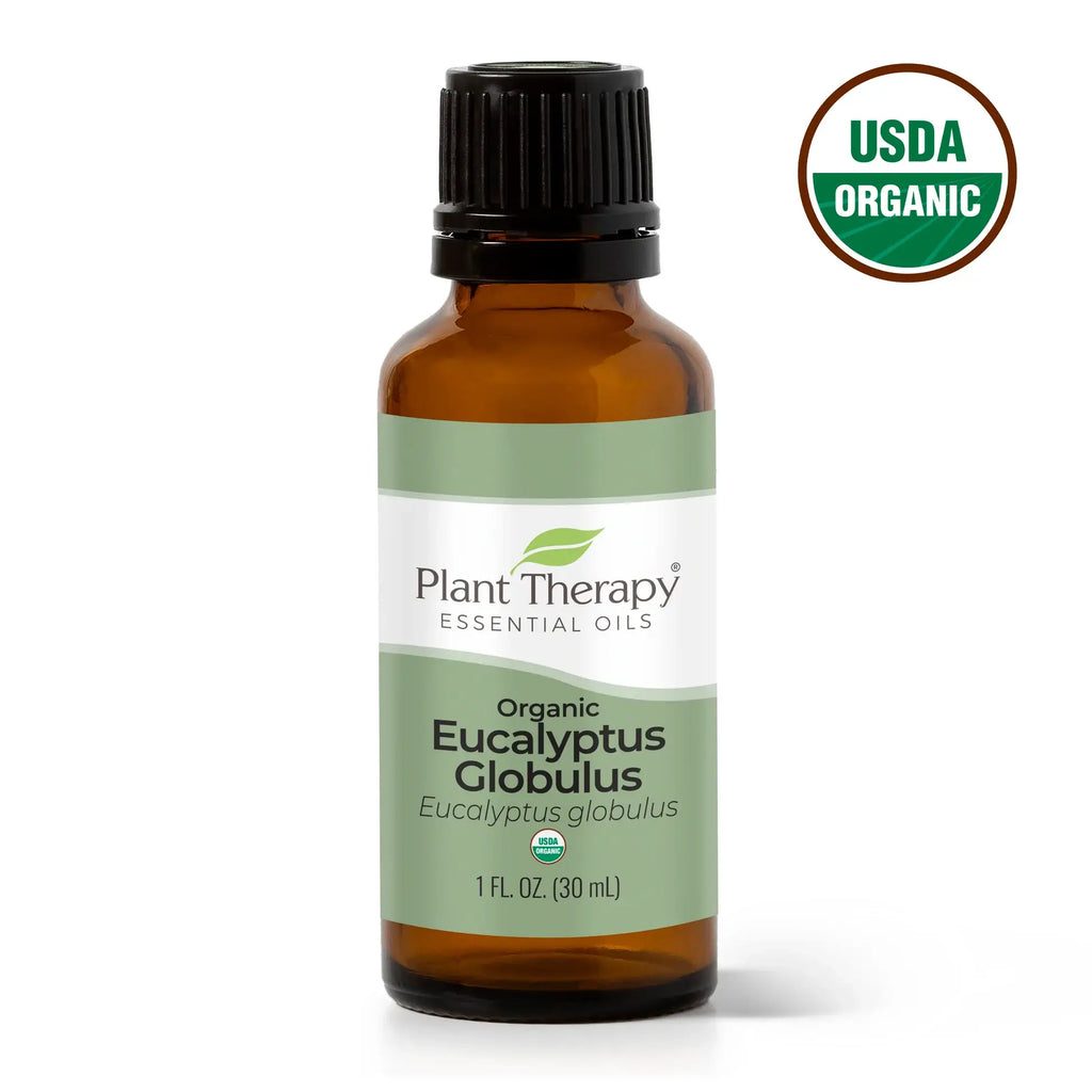 Organic Eucalyptus Globulus Essential Oil 30 mL