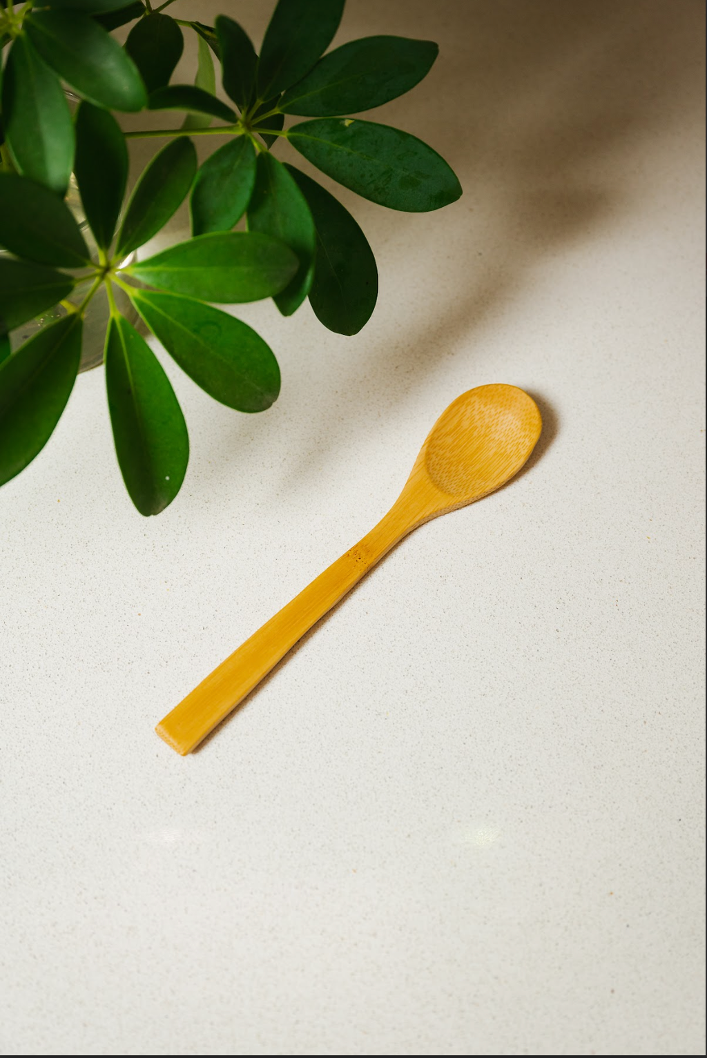 Individual Bamboo Utensil | Spoon