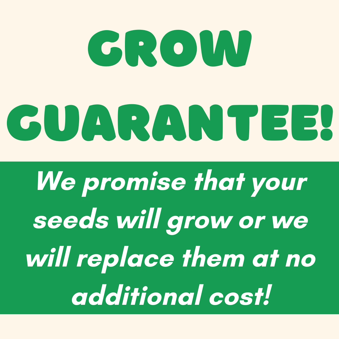 Blossombs  Dear Teacher-  7 Seed Bomb Balls