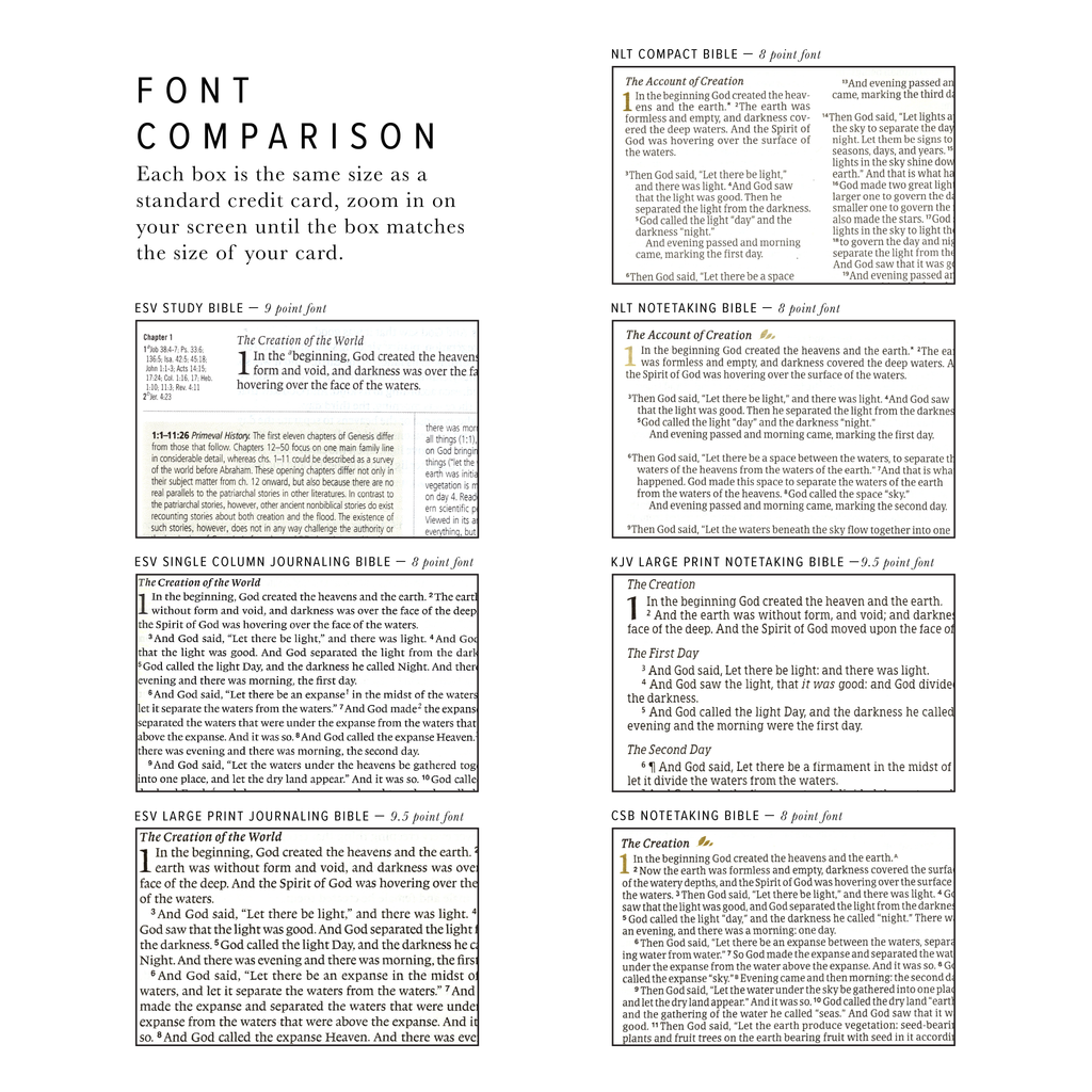 NLT Notetaking Bible: Lisbon Theme