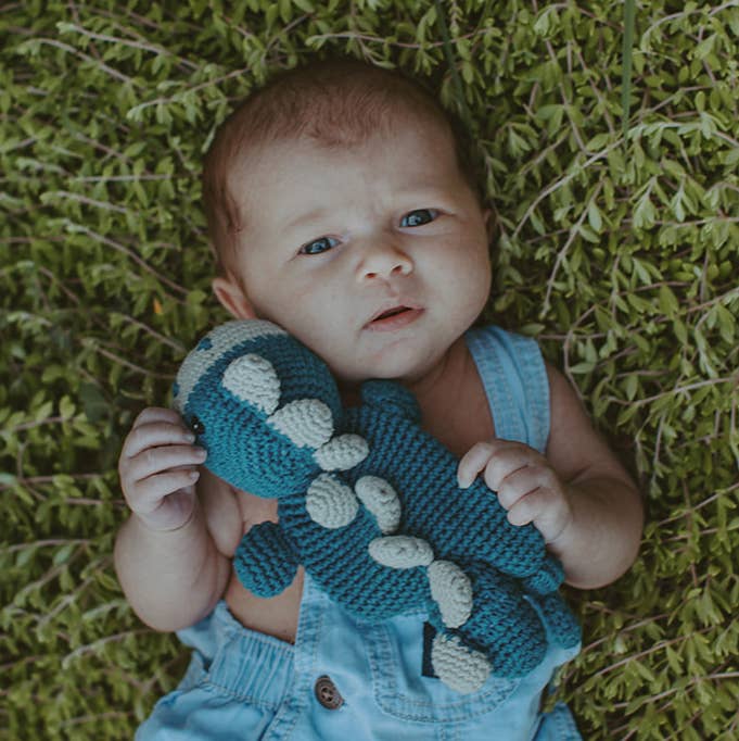 Dinosaur Lovey – Handmade Organic Cotton Flat Baby Toy
