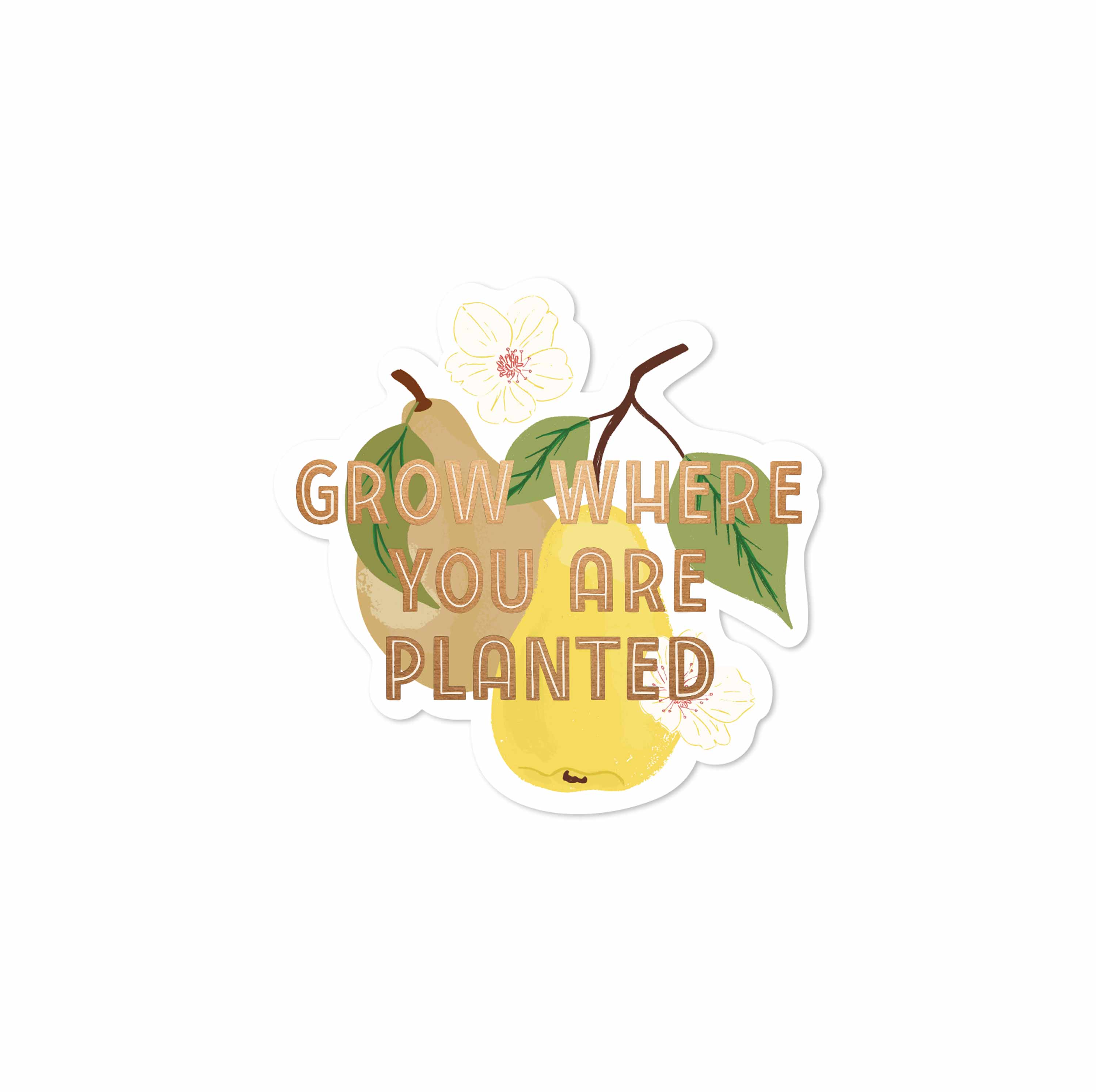 Grow where you are Planted Pear Decal Sticker