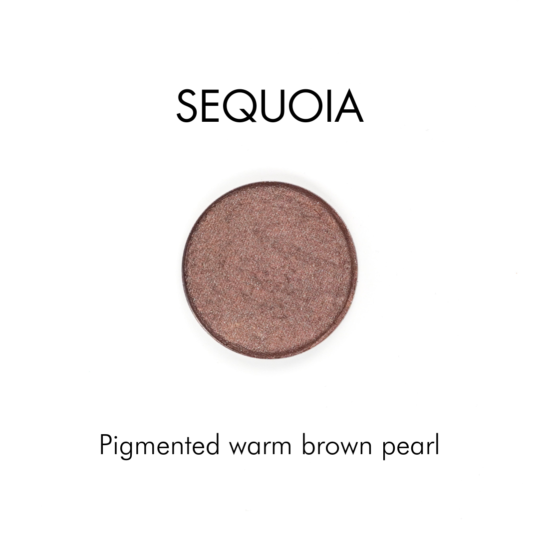 Zerra & Co. Pressed Mineral Eyeshadow | Refillable Zero Waste Makeup