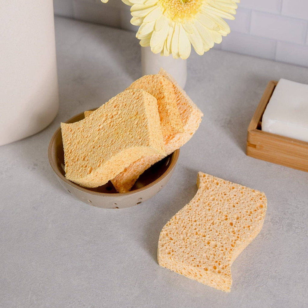 Biodegradable Kitchen Sponge 2-Pack