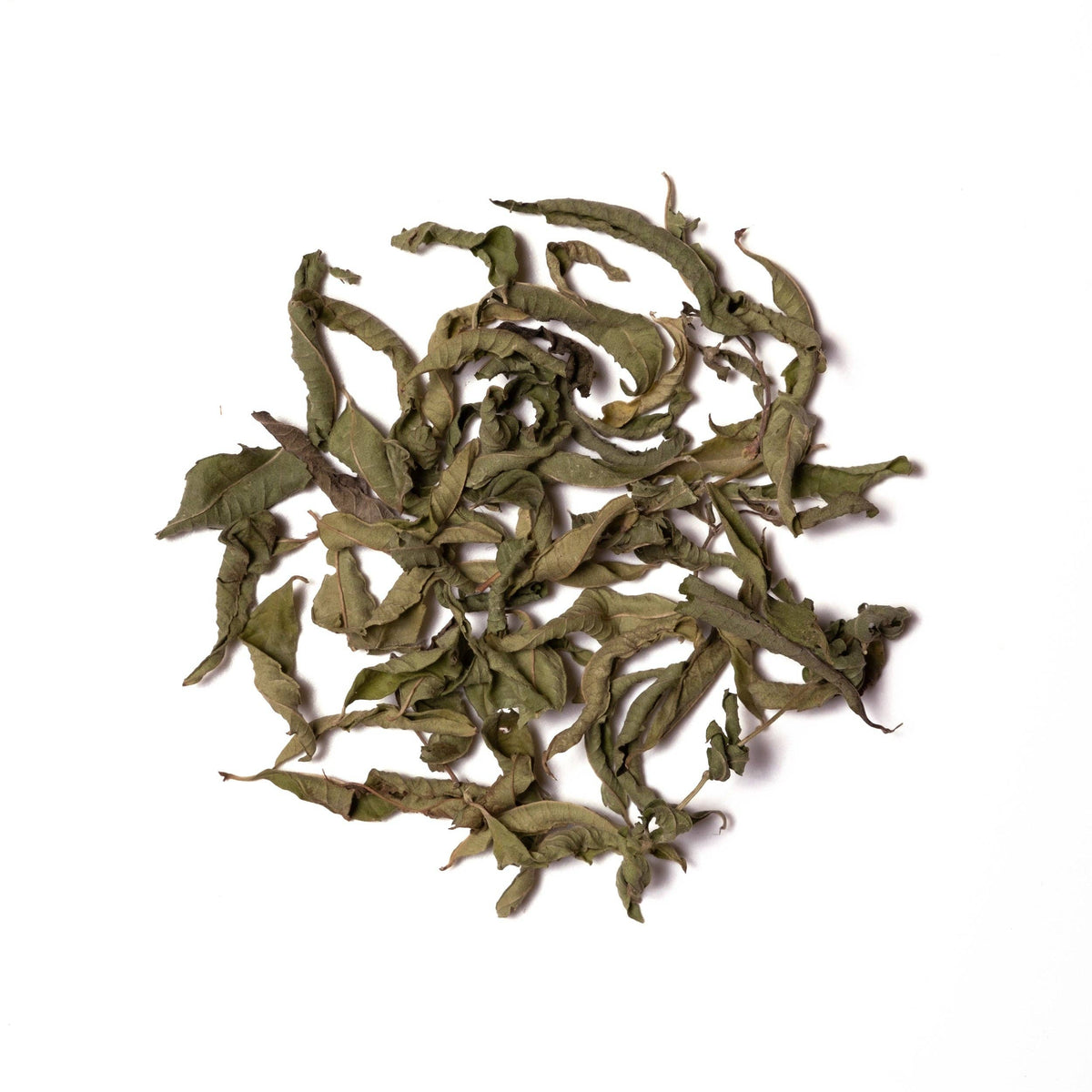 Olive Leaf Tea: Lavender Lemon