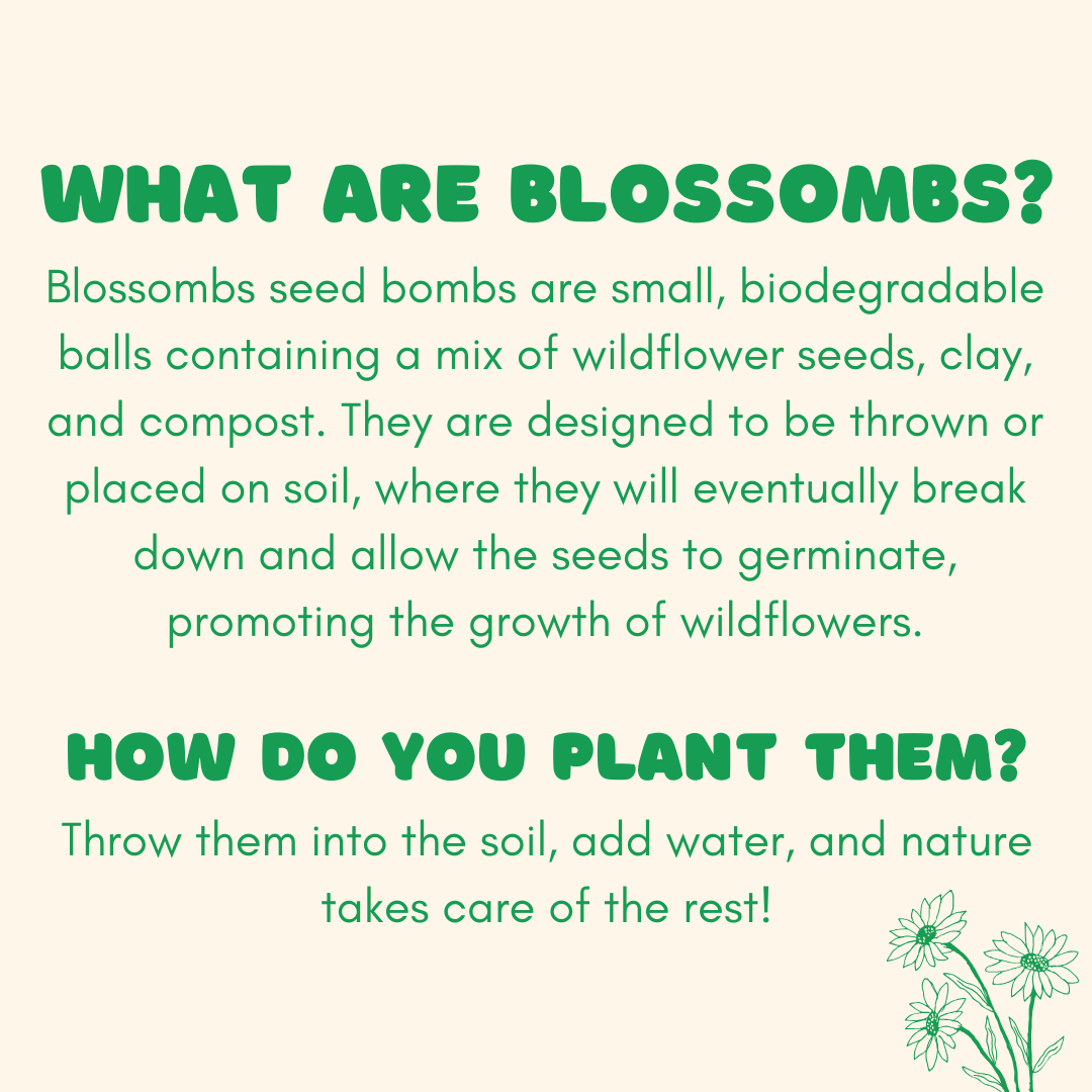 Blossombs  Dear Teacher-  7 Seed Bomb Balls
