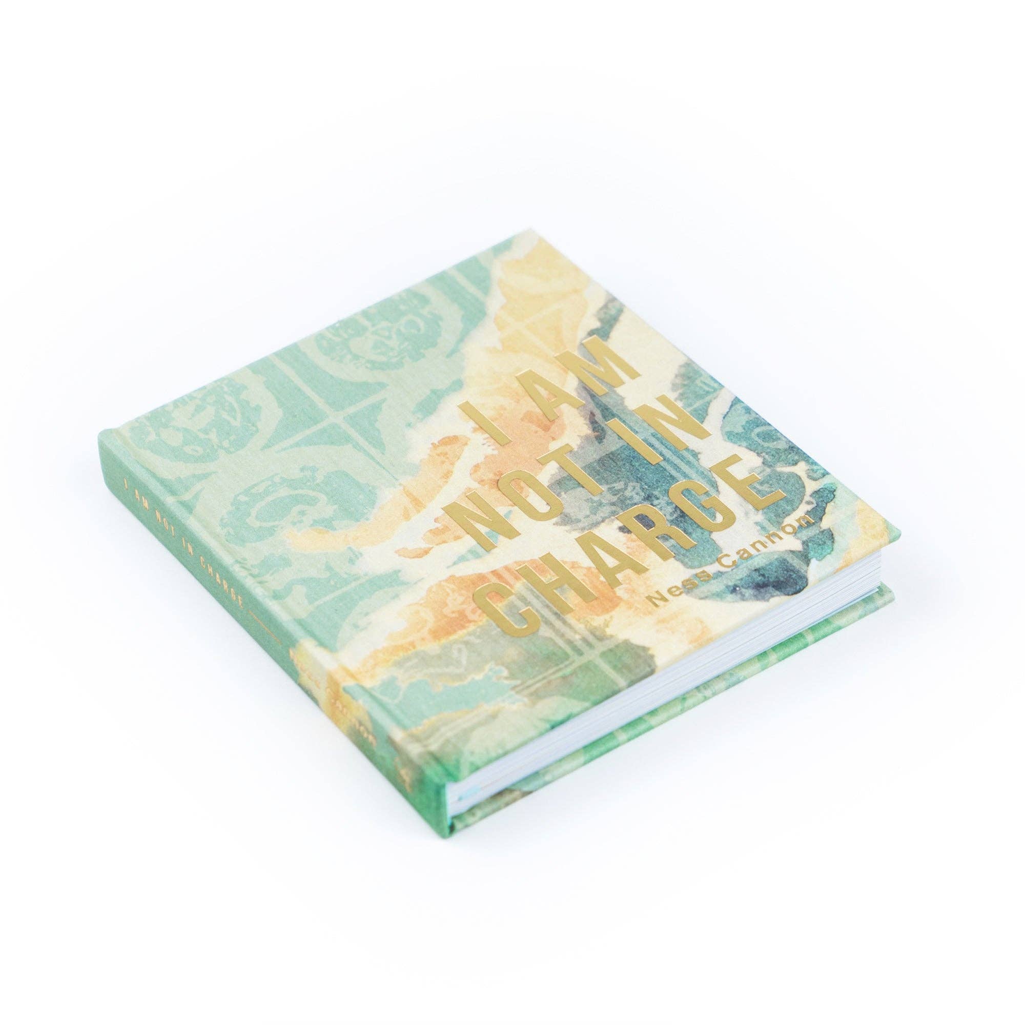 I Am Not In Charge by Ness Cannon