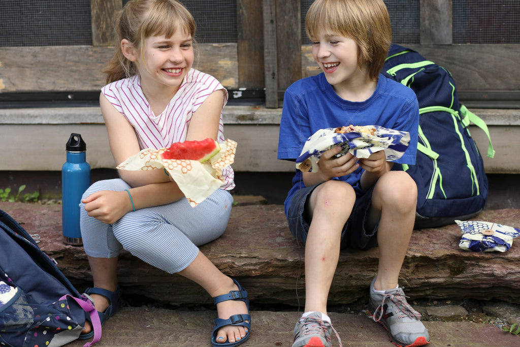 Sandwich Beeswax Food Wrap - Honeycomb