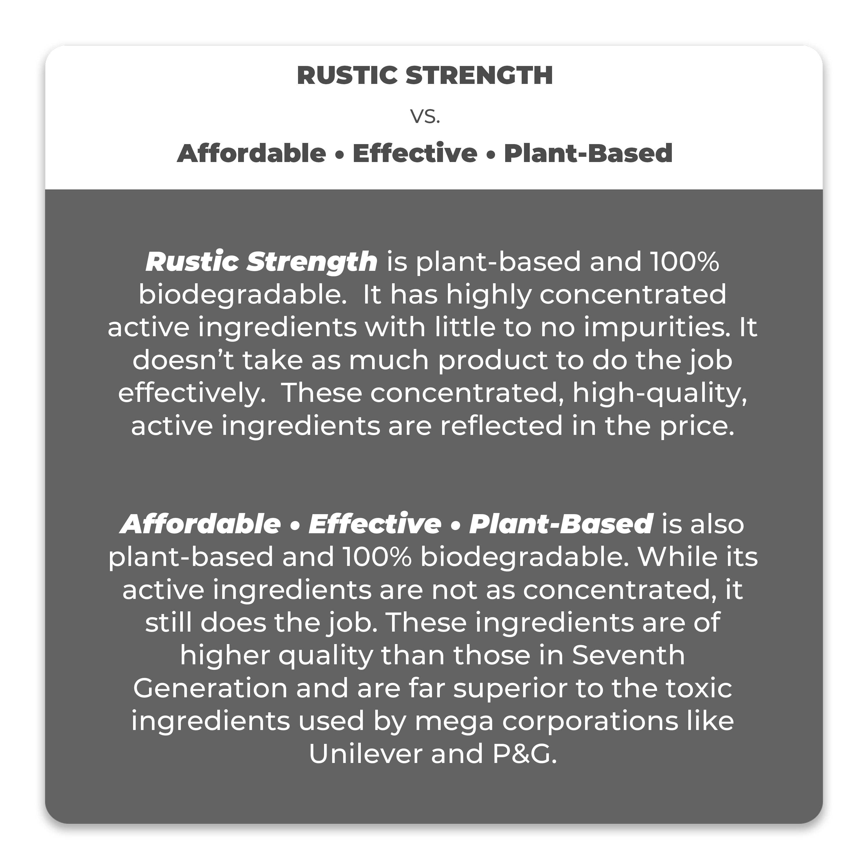 Rustic Strength Dish Soap