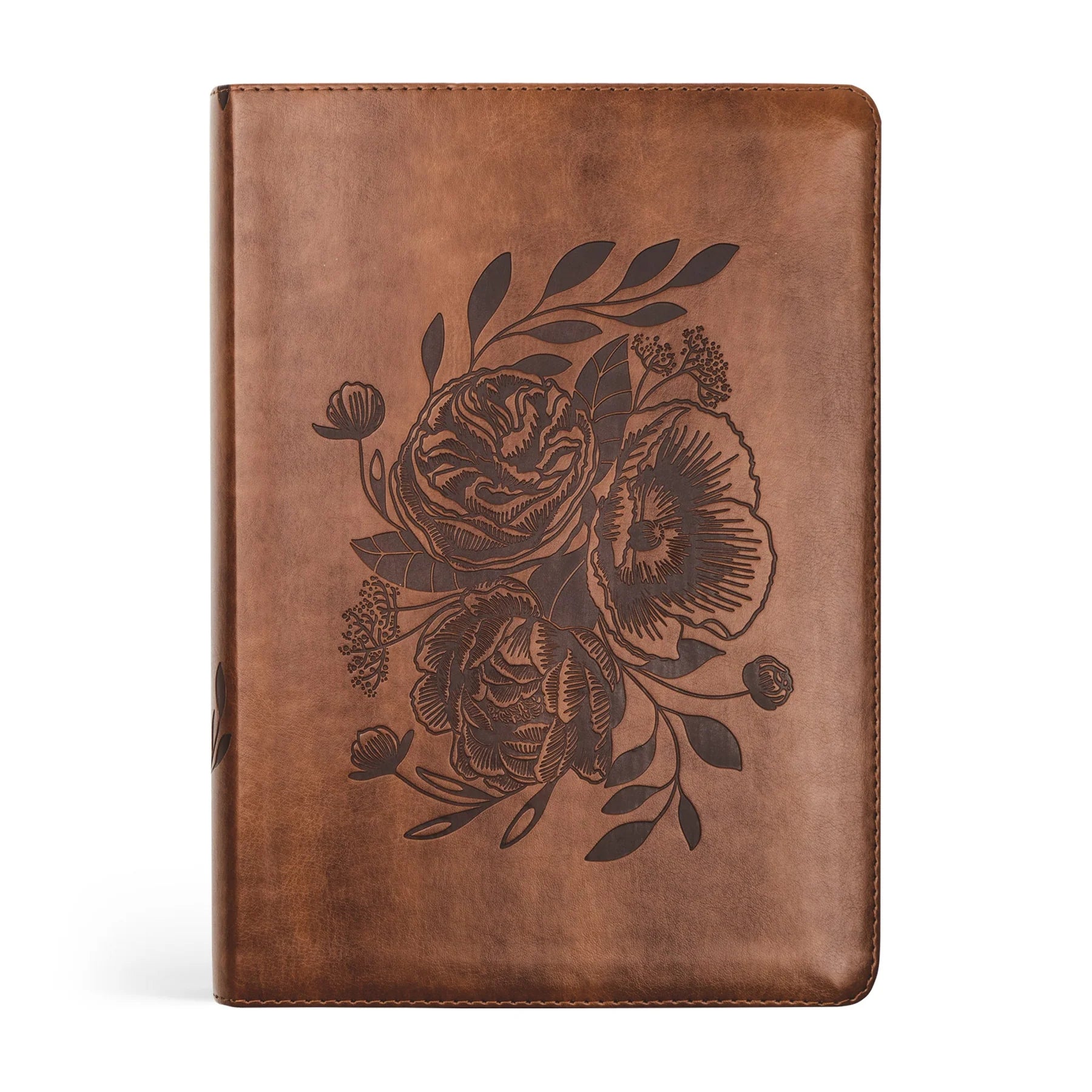 ESV Study Bible: Aurora Theme