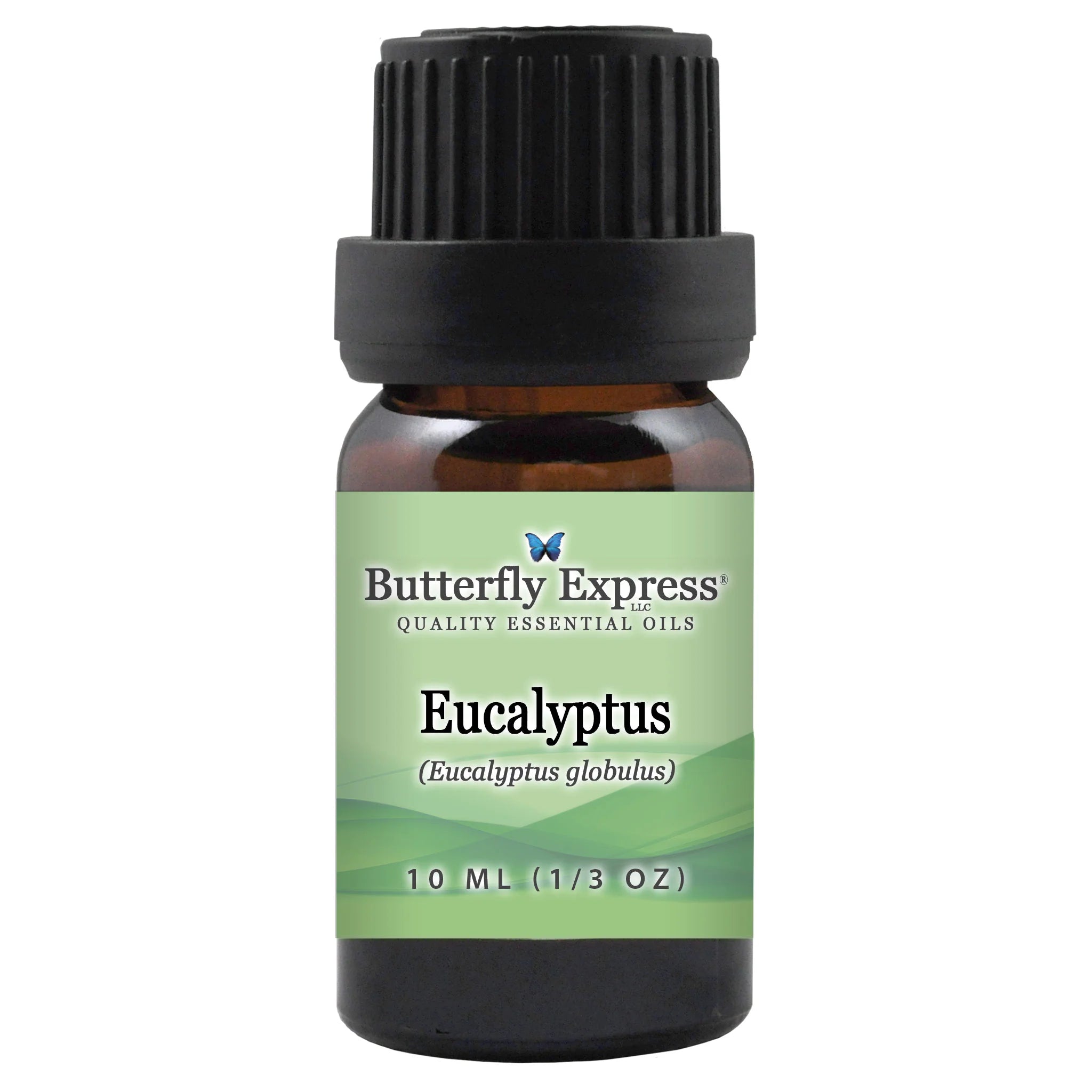 Butterfly Express Eucalyptus Globulus Essential Oil