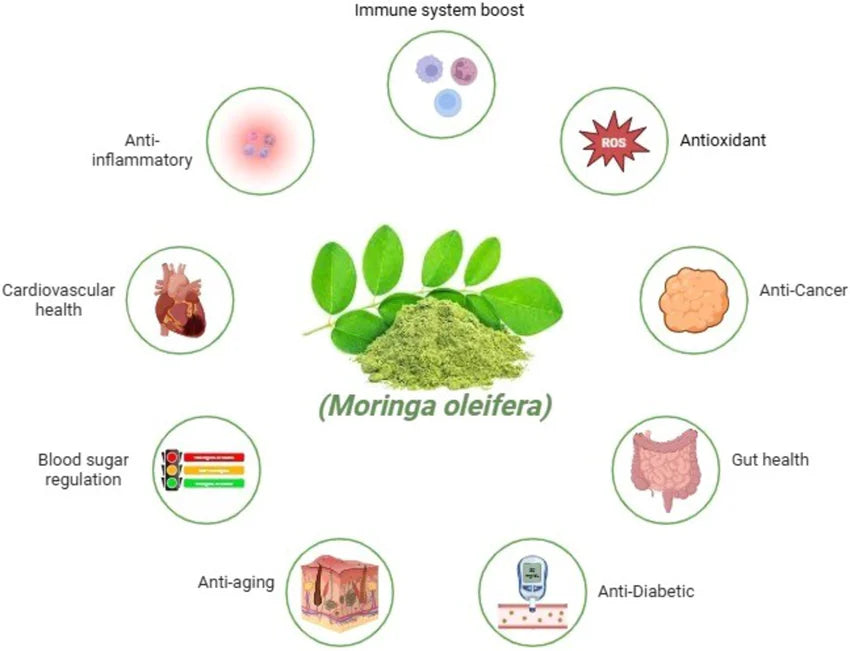 Organic Moringa Leaf Powder