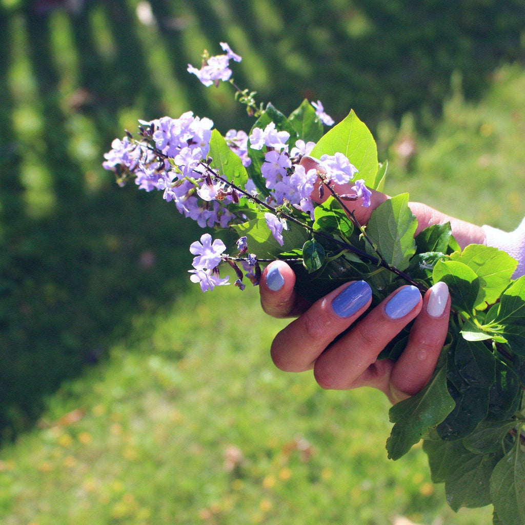 Soft Focus Nail Polish
