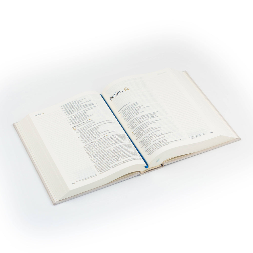 NLT Notetaking Bible : Adelaide Theme