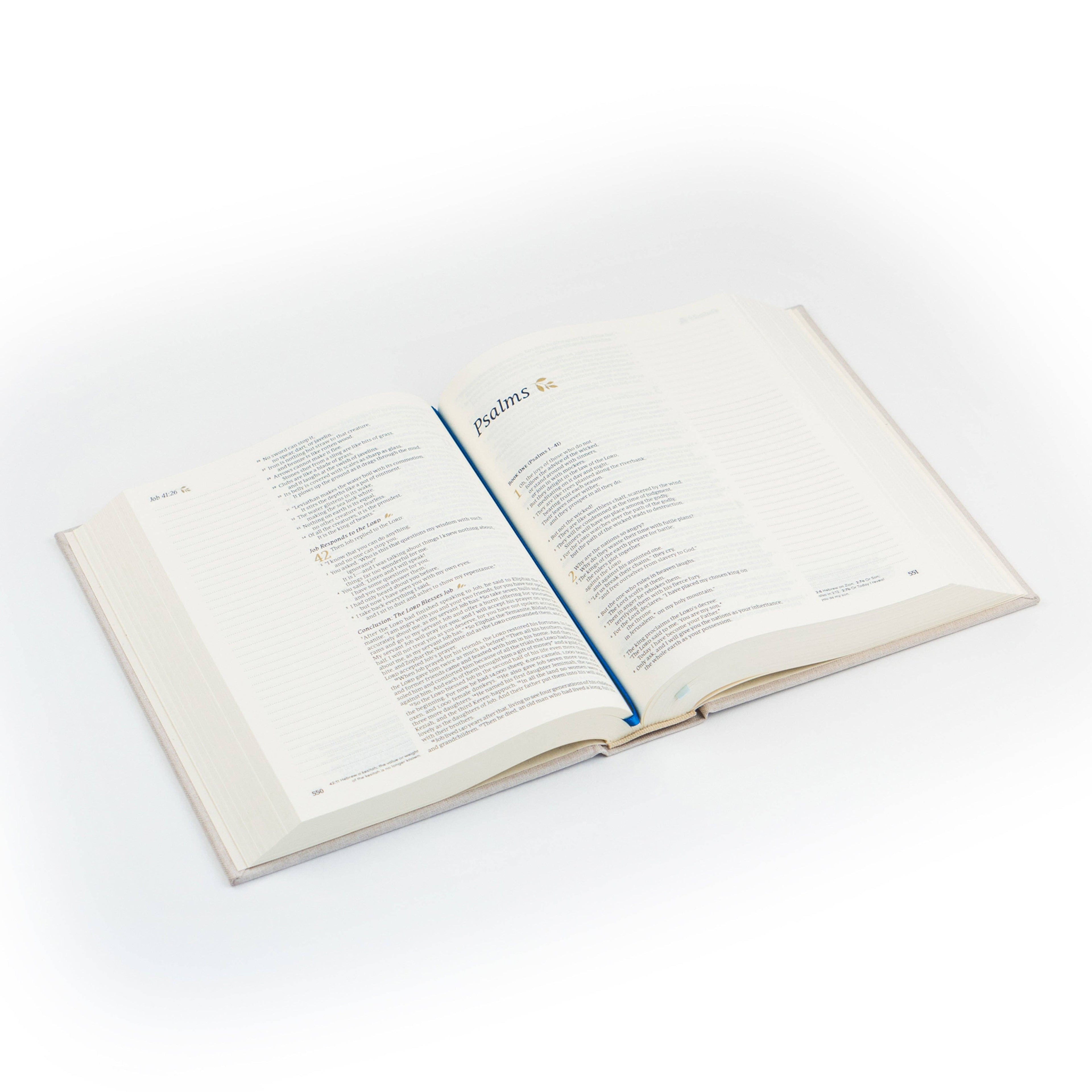 NLT Notetaking Bible : Adelaide Theme