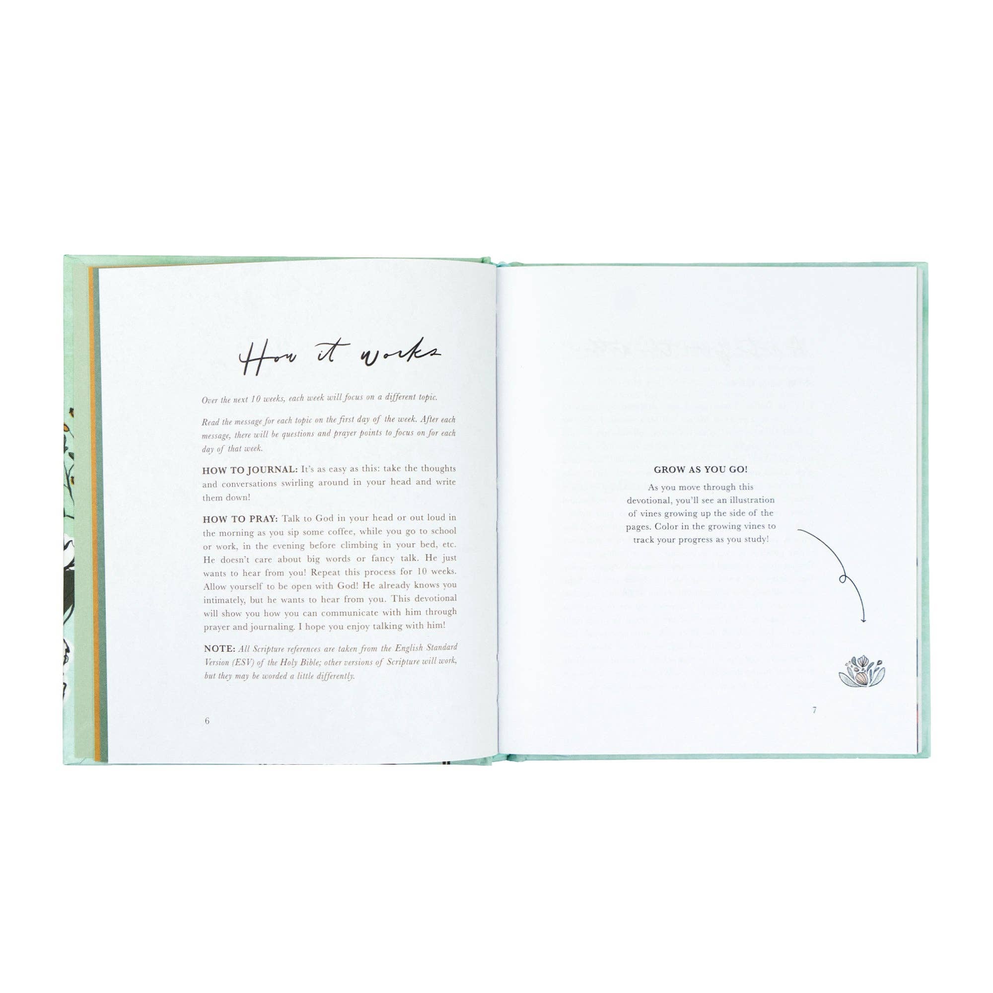 Rooted to Rise by Haley Crabtree