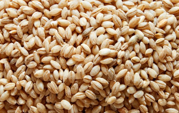 Barley Seed (Pre-Packaged)