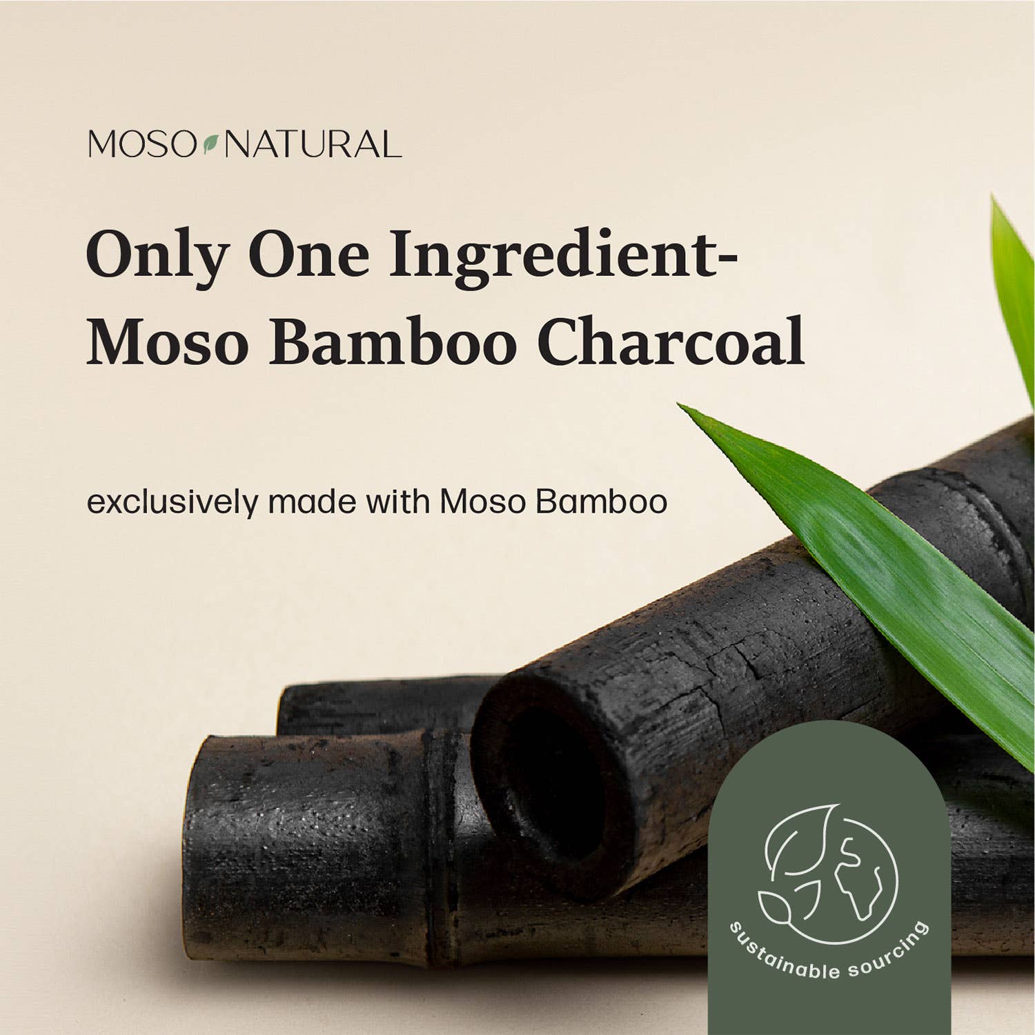 600g Air Purifying Bag for Large Spaces, Bamboo Charcoal