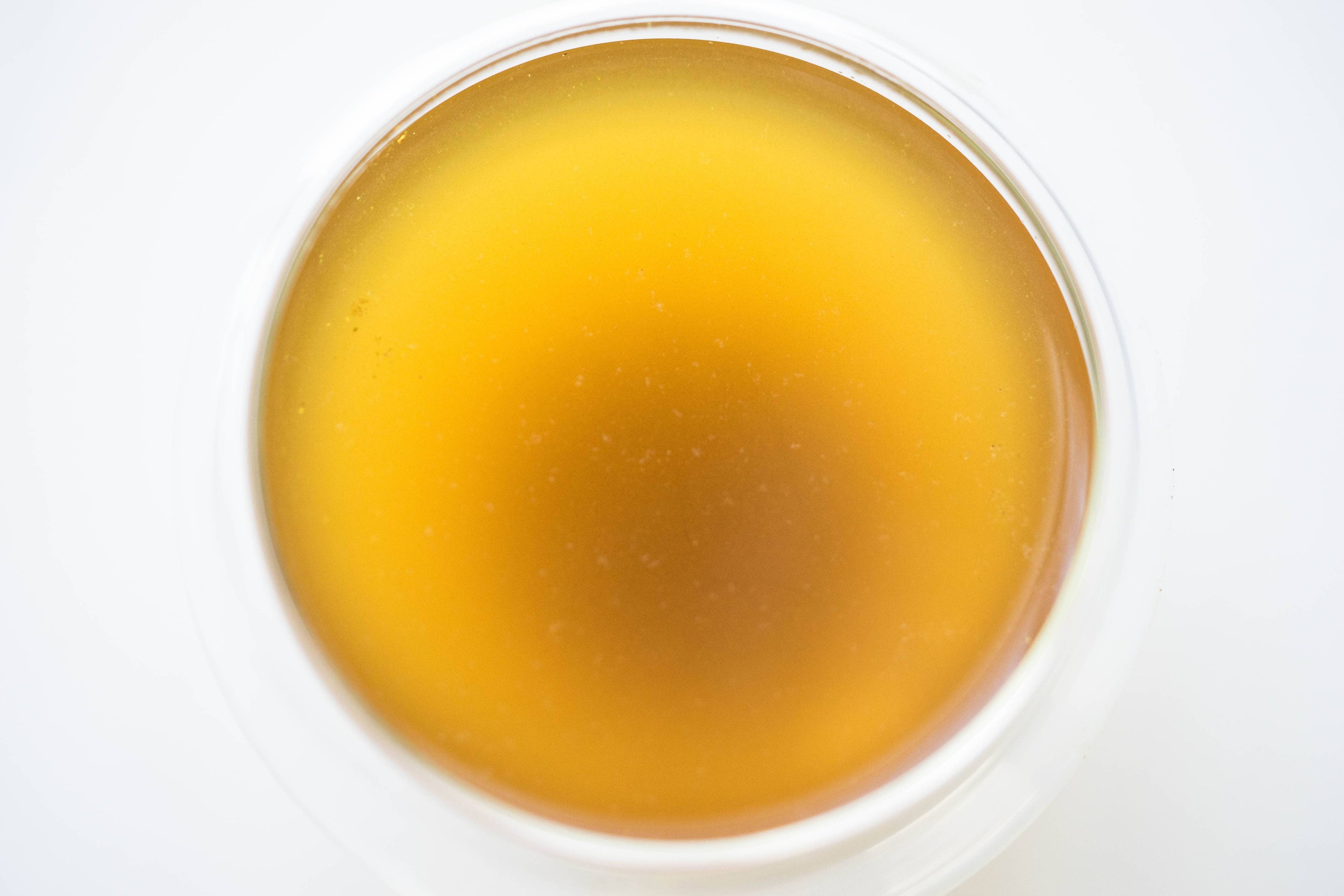 Detox Plant & Mushroom Powder