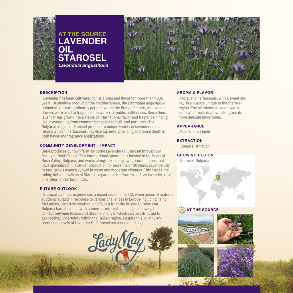Lavender Whipped Tallow Moisturizer | Natural Beef Tallow Lotion