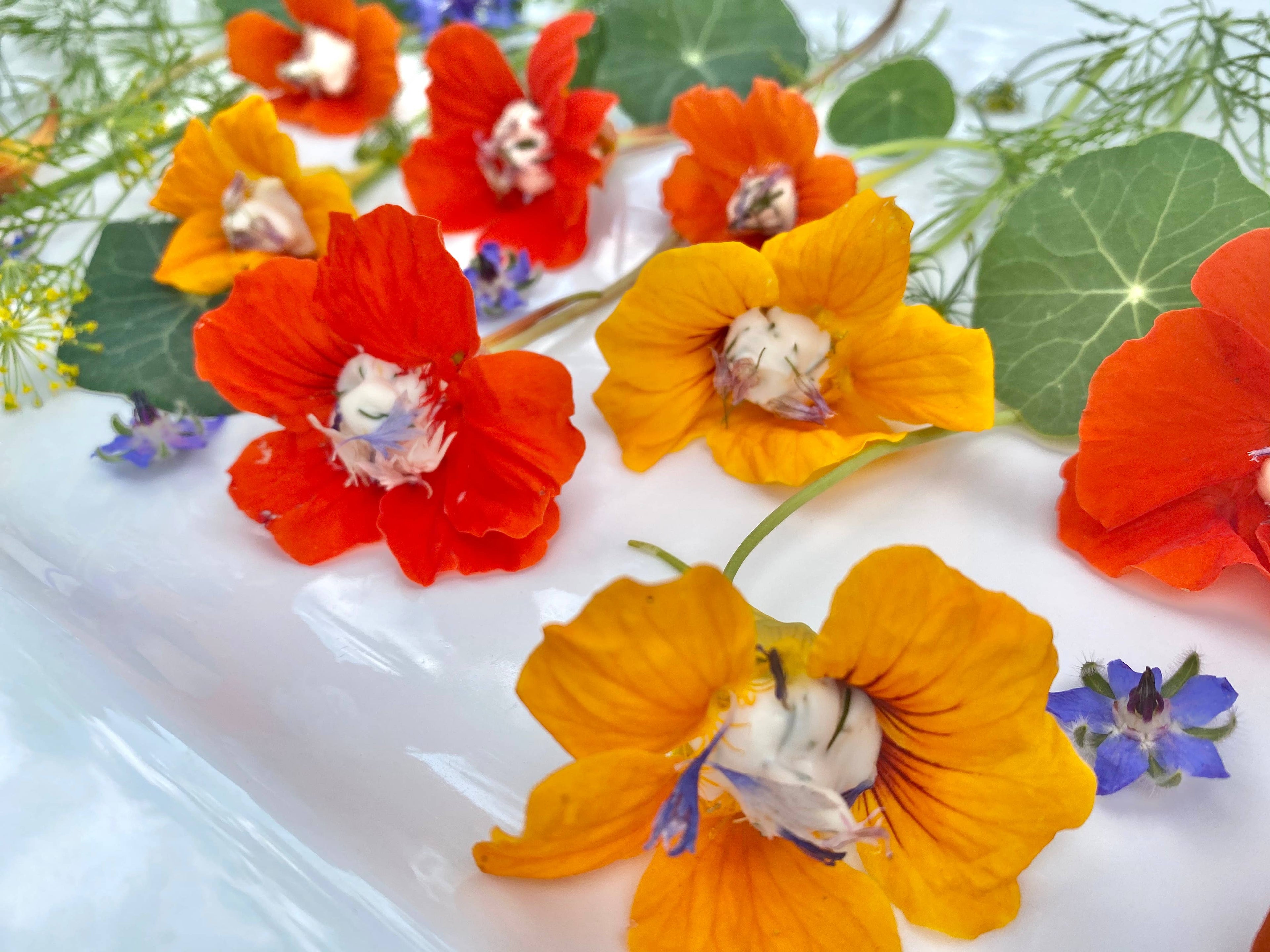 Edible Flower Seeds