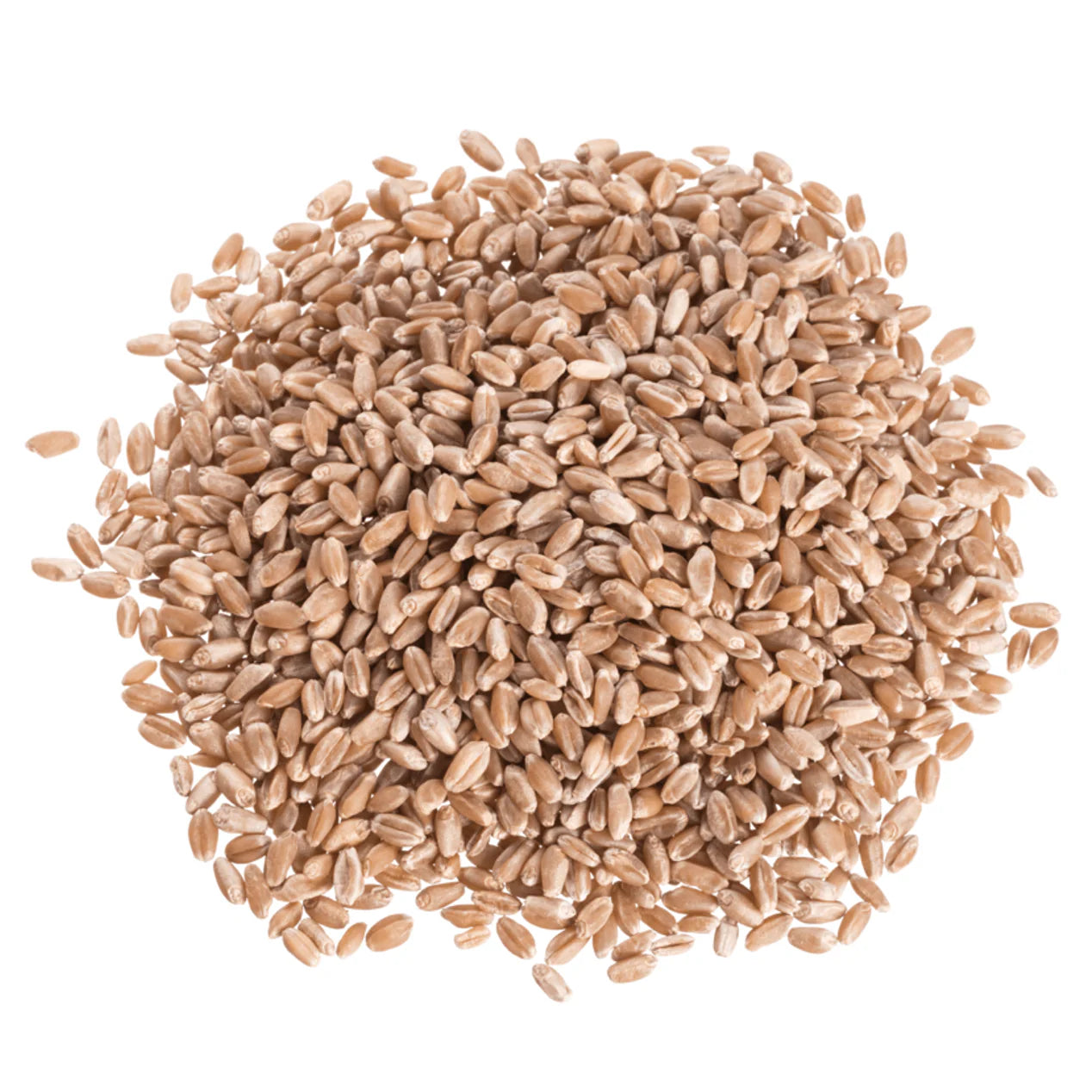 Bulk Hard Red Wheat Berries - Price Per Oz.
