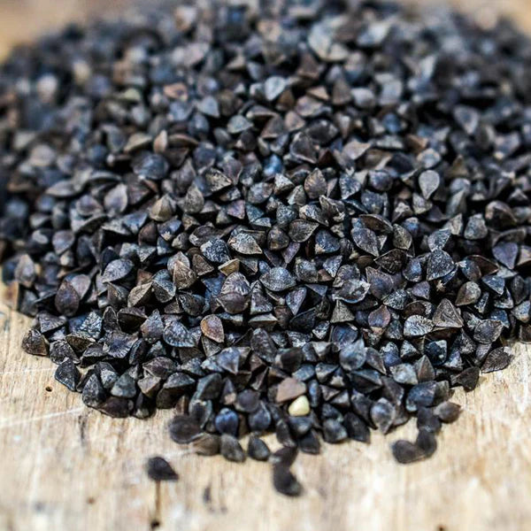 Mancan Buckwheat