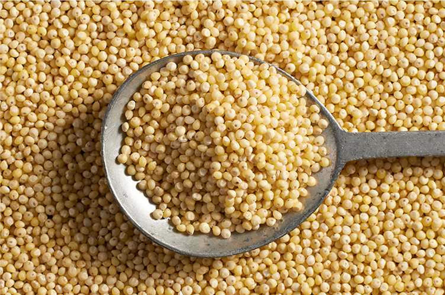 Hulled Millet (Pre-Packaged)