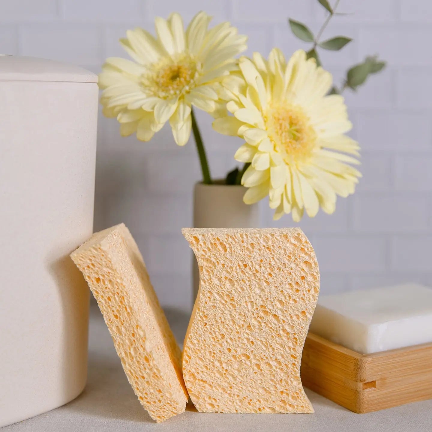 Biodegradable Kitchen Sponges - Pack of 2